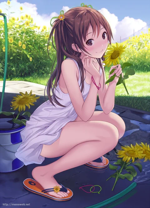 图片 233