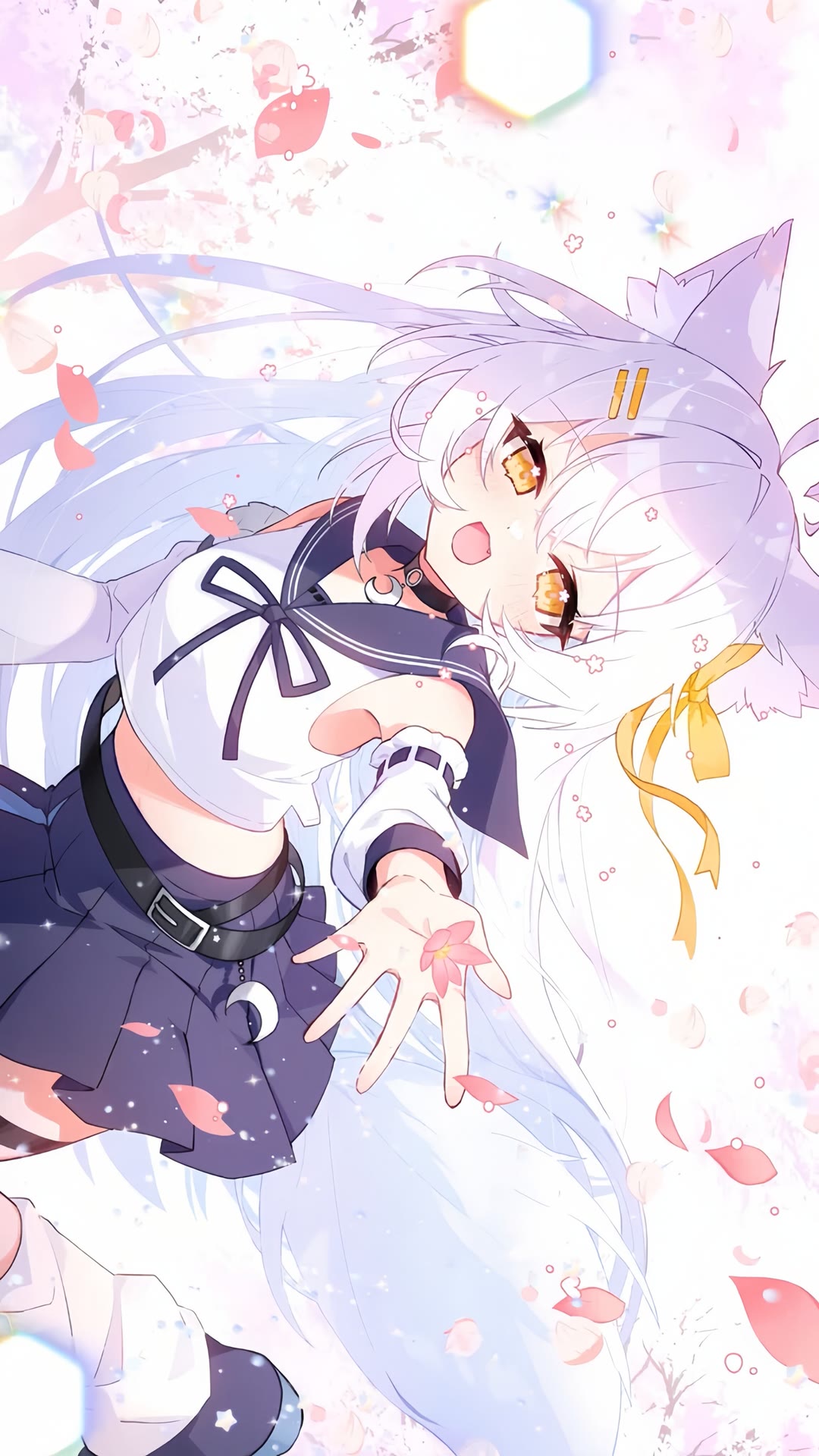 图片 611