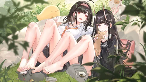 图片 802