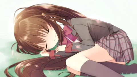 图片 527
